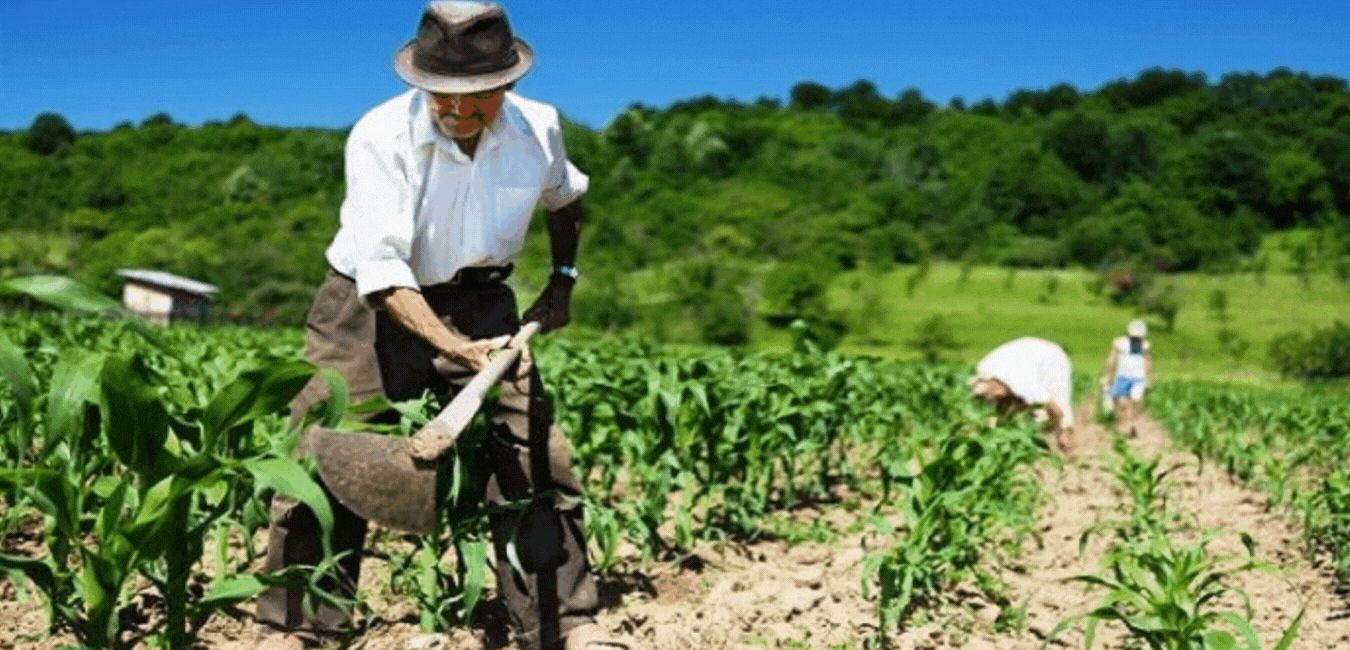 Dia do Trabalhador Rural
